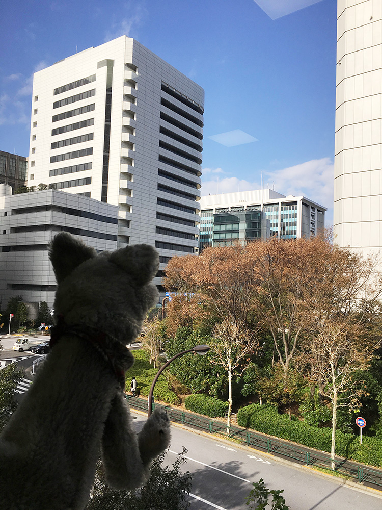 2018120801 - 2018年12月8日（土）港区立赤坂図書館